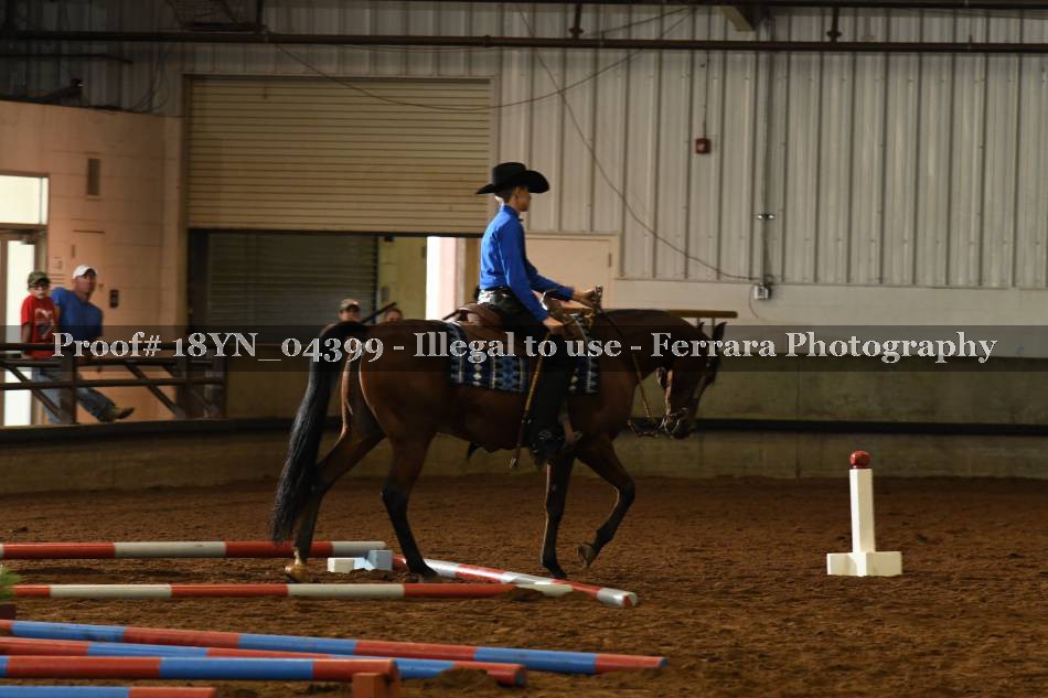 Proof 18YN_04399