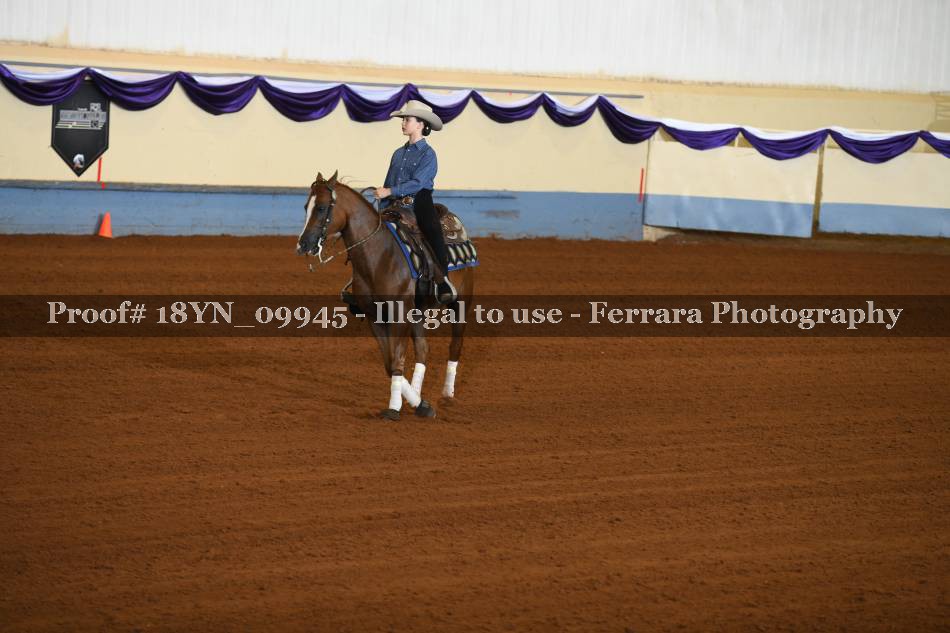 Proof 18YN_09945