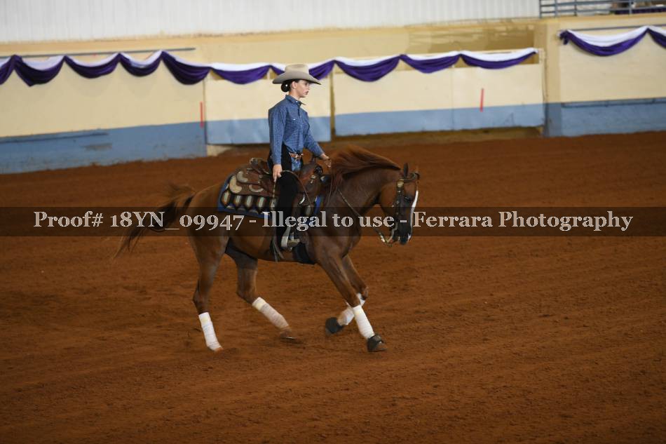 Proof 18YN_09947