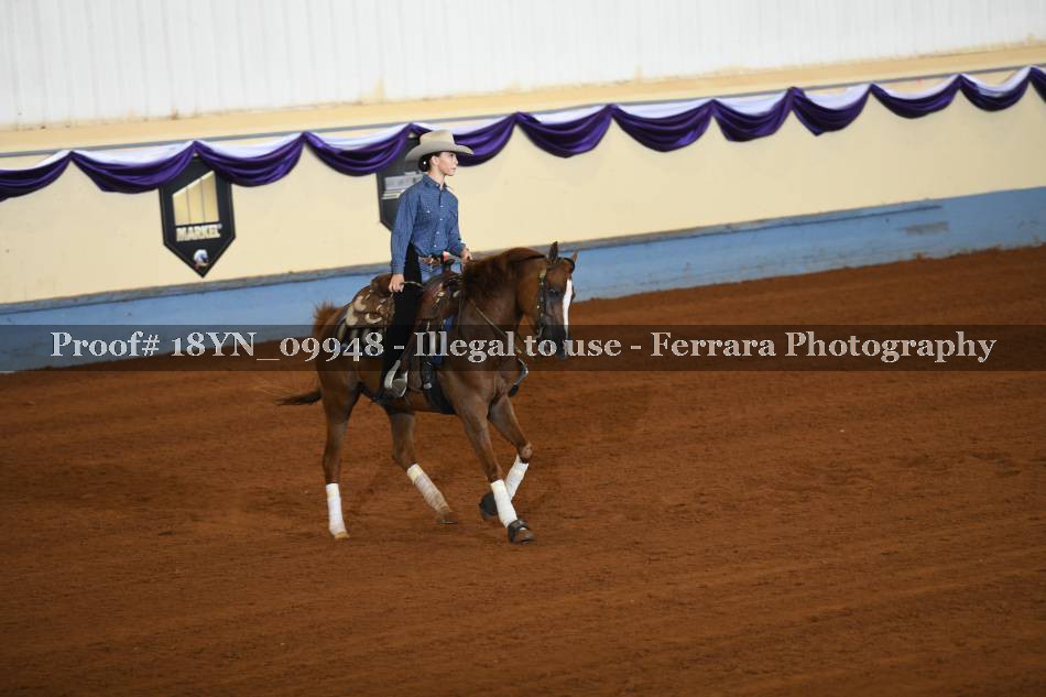 Proof 18YN_09948