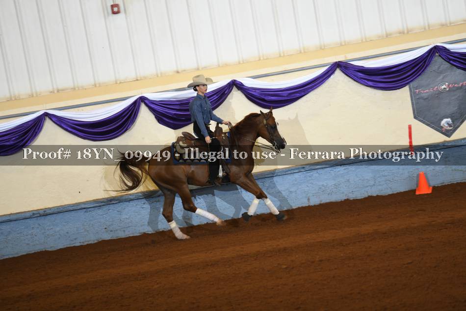 Proof 18YN_09949
