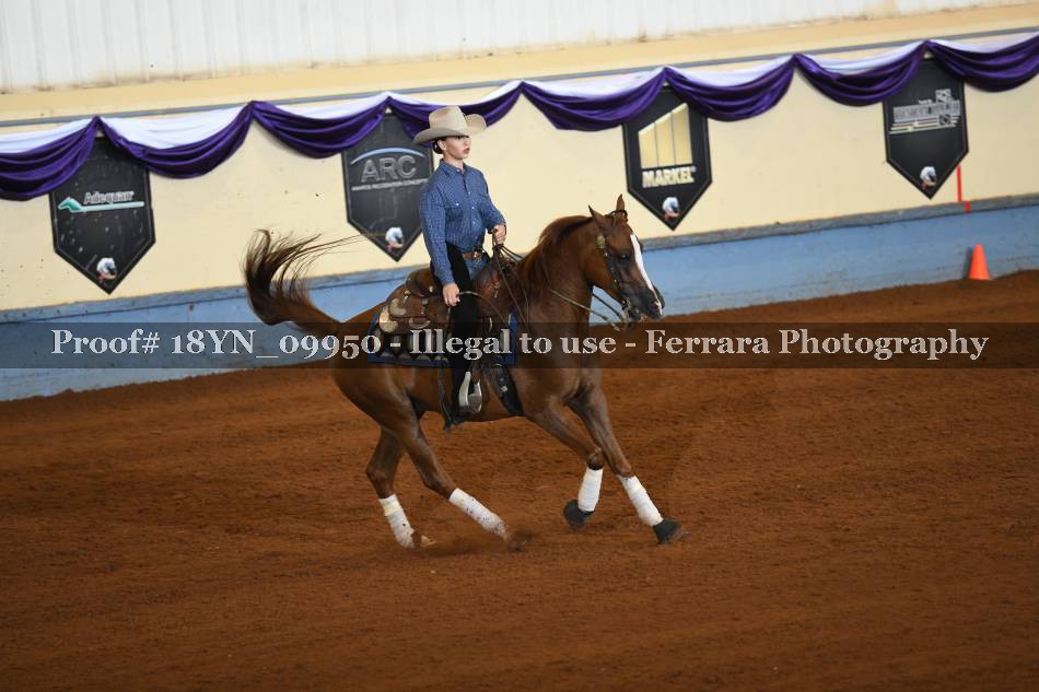 Proof 18YN_09950