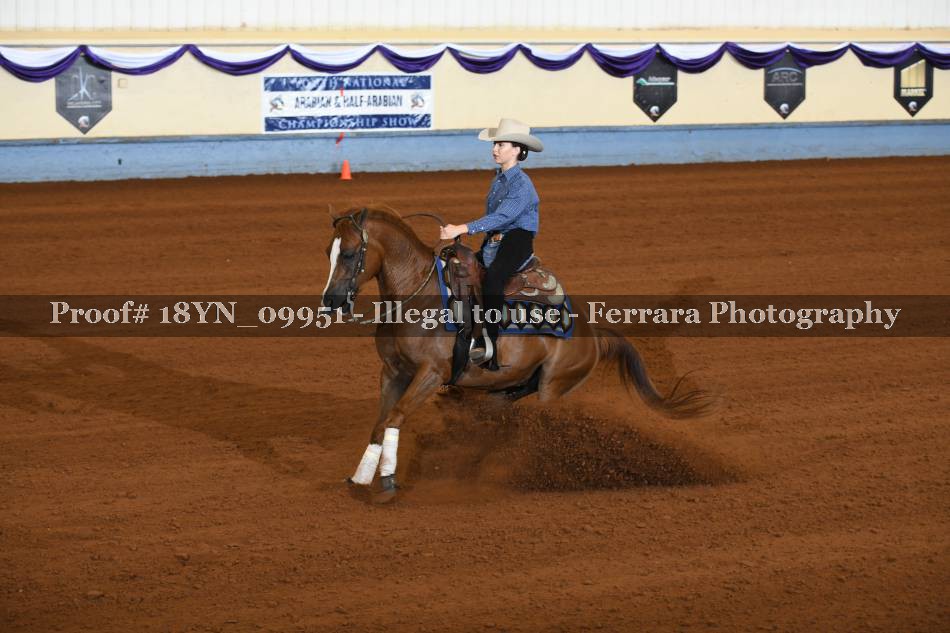 Proof 18YN_09951