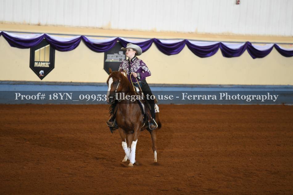 Proof 18YN_09953