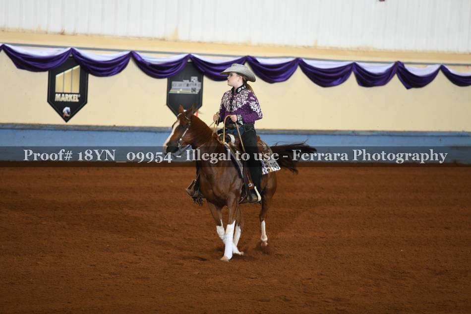 Proof 18YN_09954