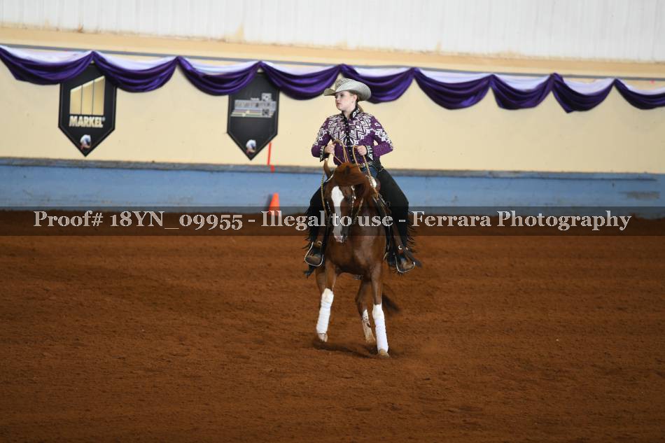 Proof 18YN_09955