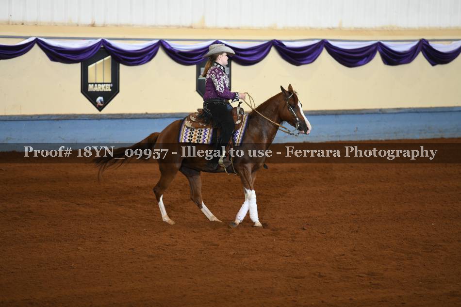 Proof 18YN_09957