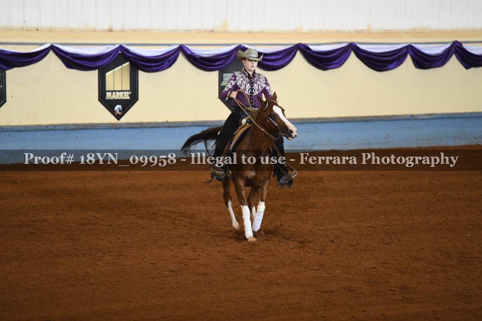 Proof 18YN_09958