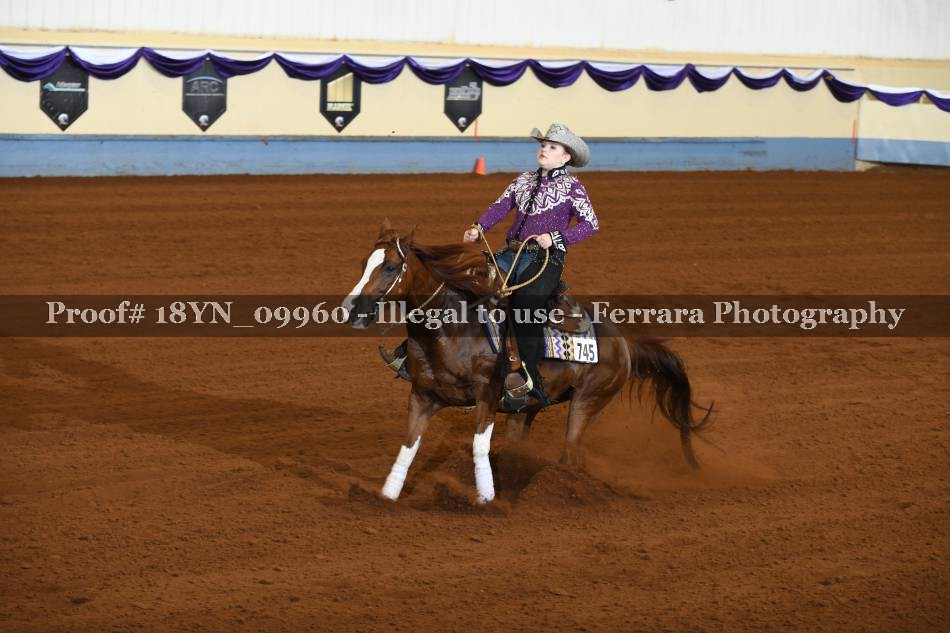 Proof 18YN_09960