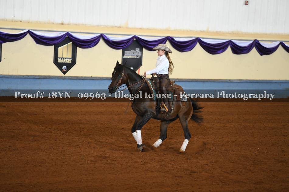 Proof 18YN_09963