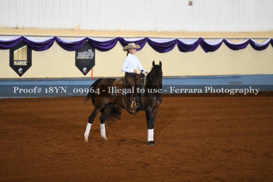 Proof 18YN_09964