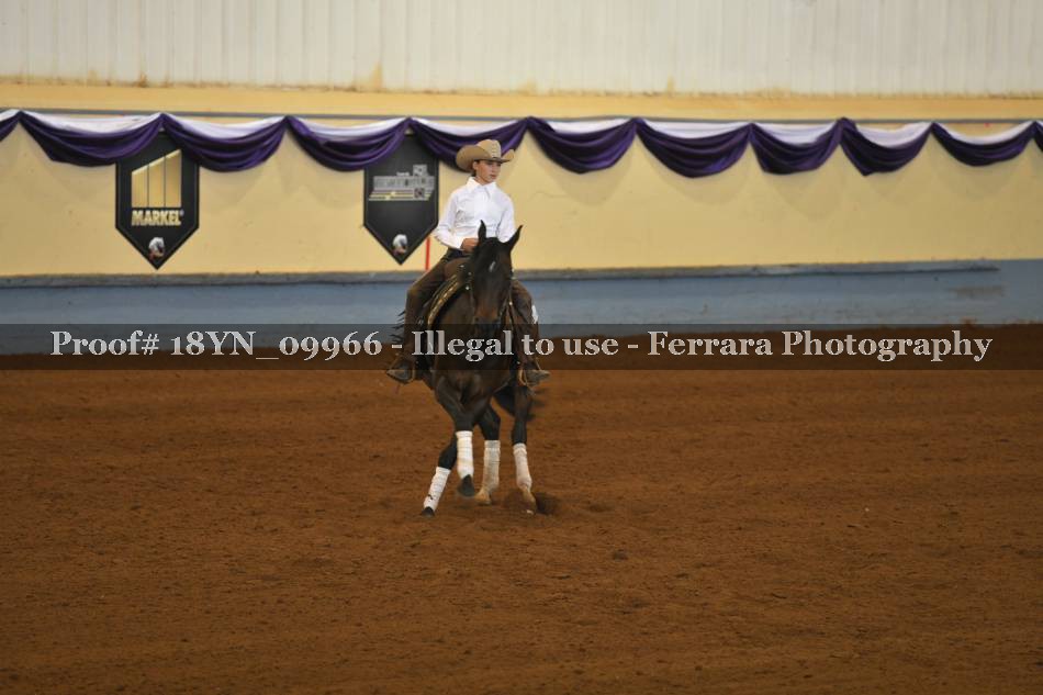 Proof 18YN_09966