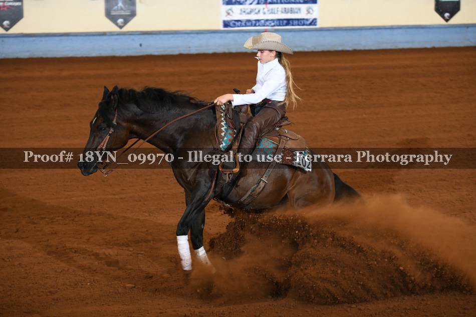 Proof 18YN_09970
