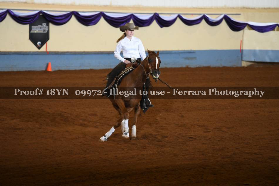 Proof 18YN_09972
