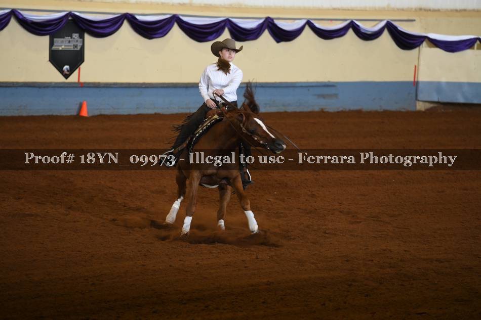 Proof 18YN_09973