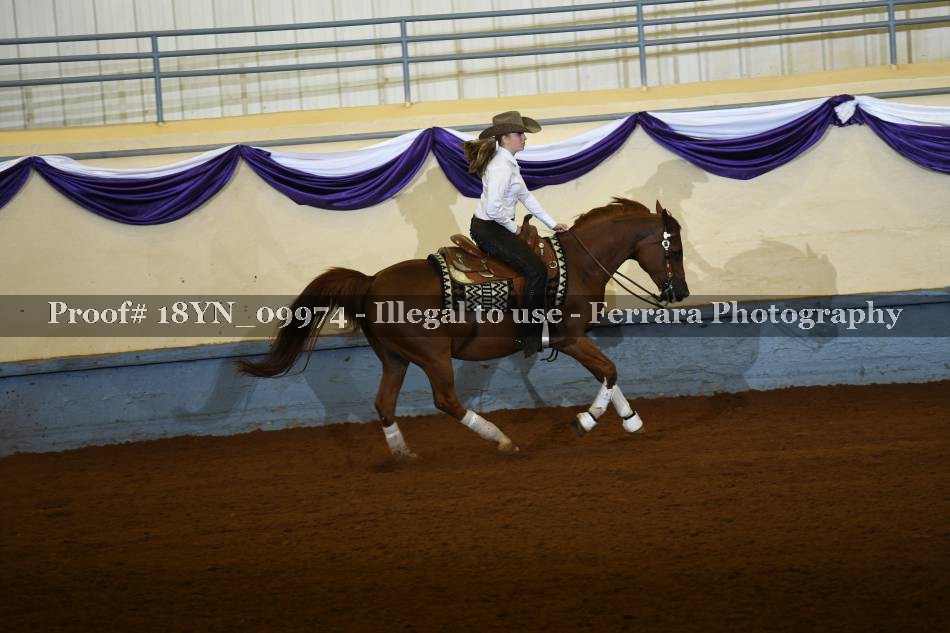 Proof 18YN_09974