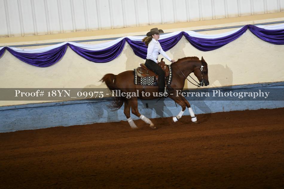 Proof 18YN_09975