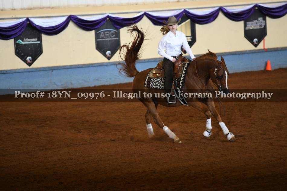 Proof 18YN_09976