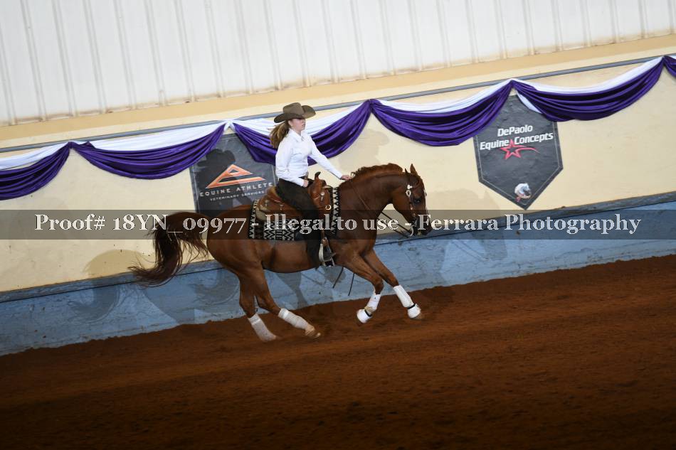 Proof 18YN_09977