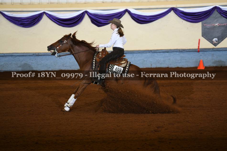 Proof 18YN_09979
