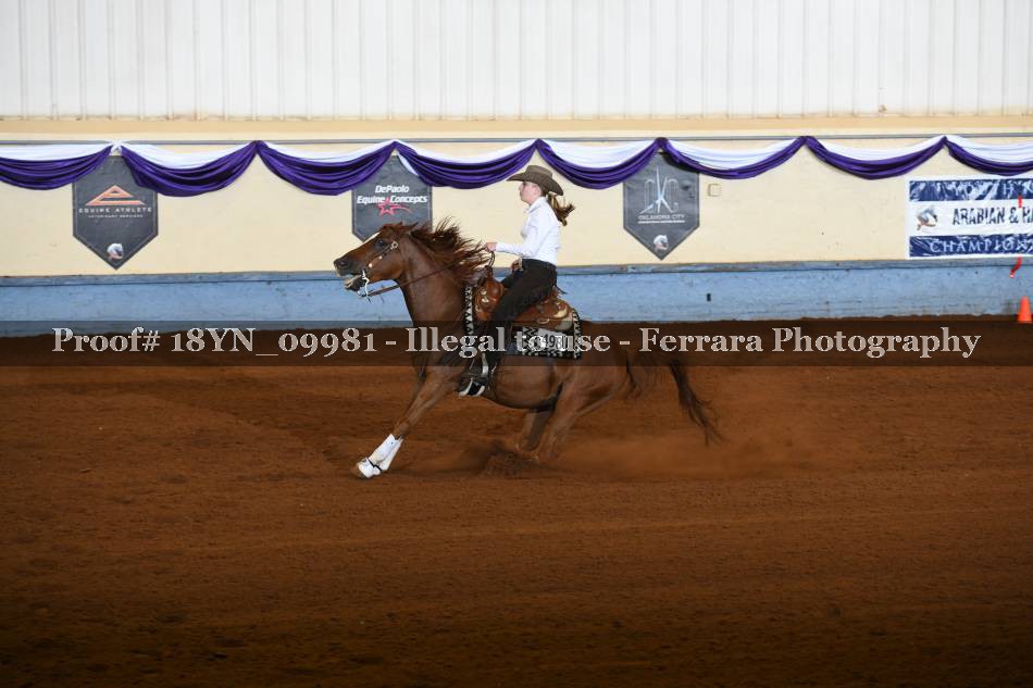 Proof 18YN_09981