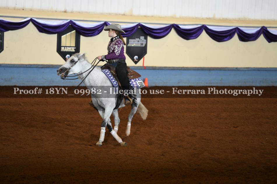 Proof 18YN_09982