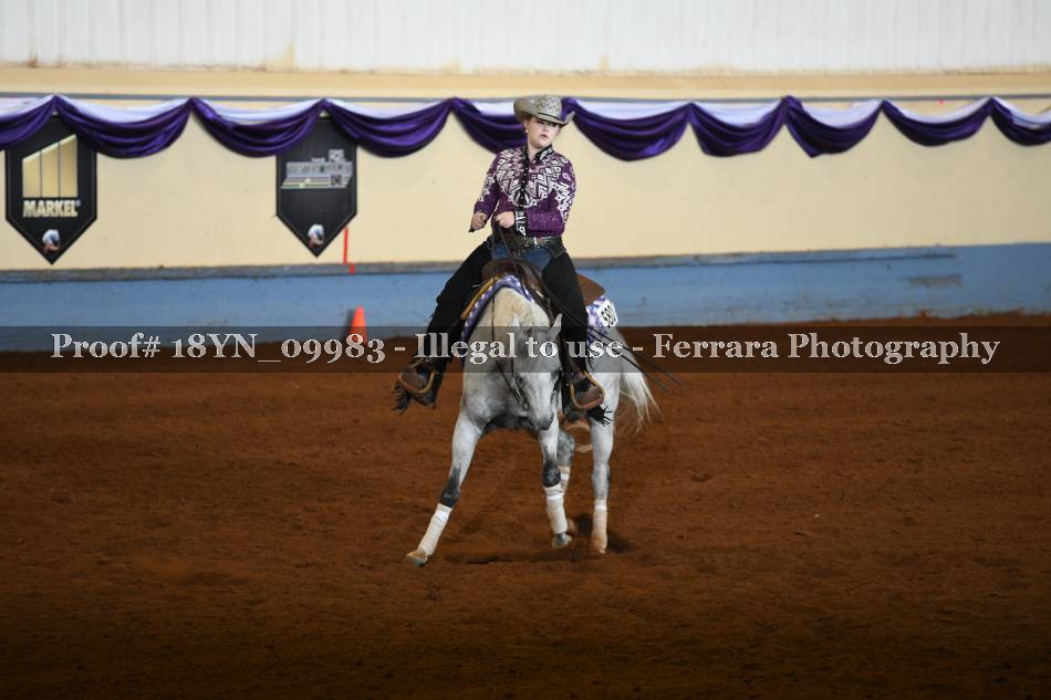 Proof 18YN_09983