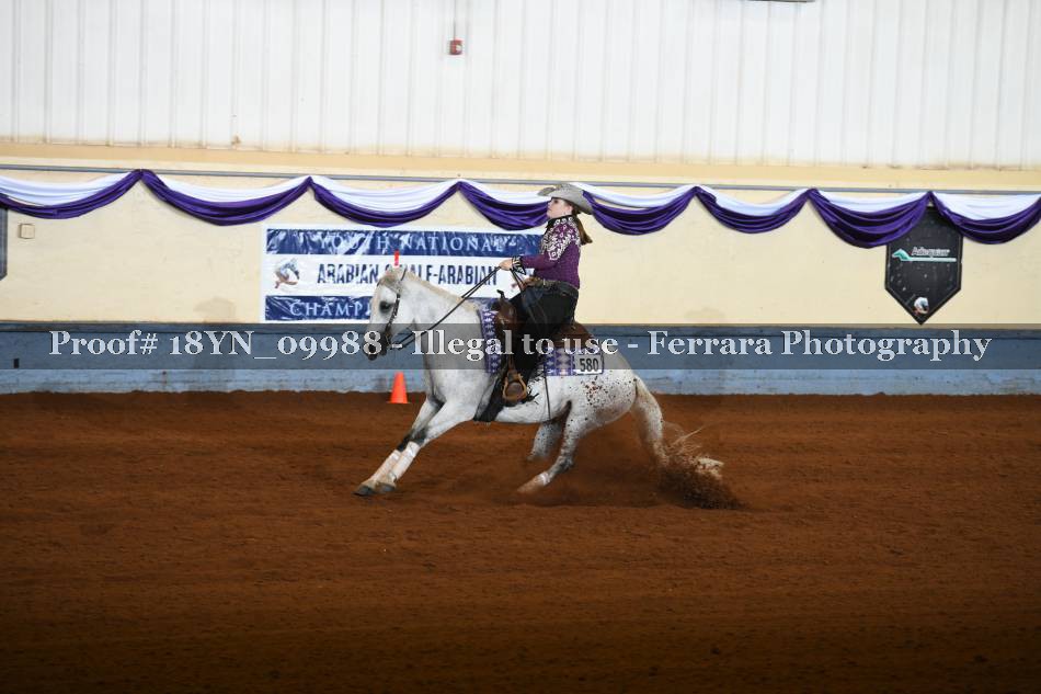 Proof 18YN_09988