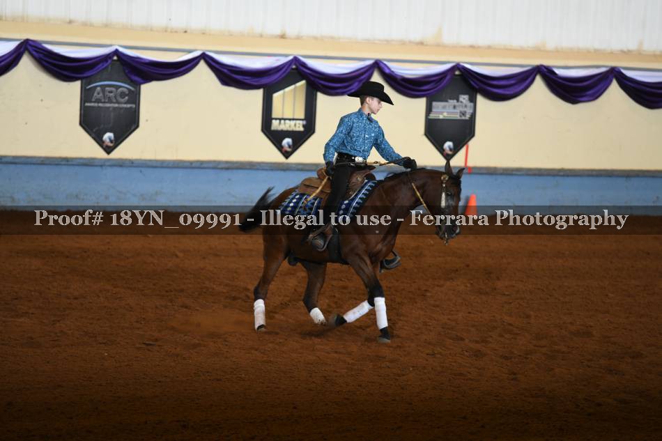 Proof 18YN_09991