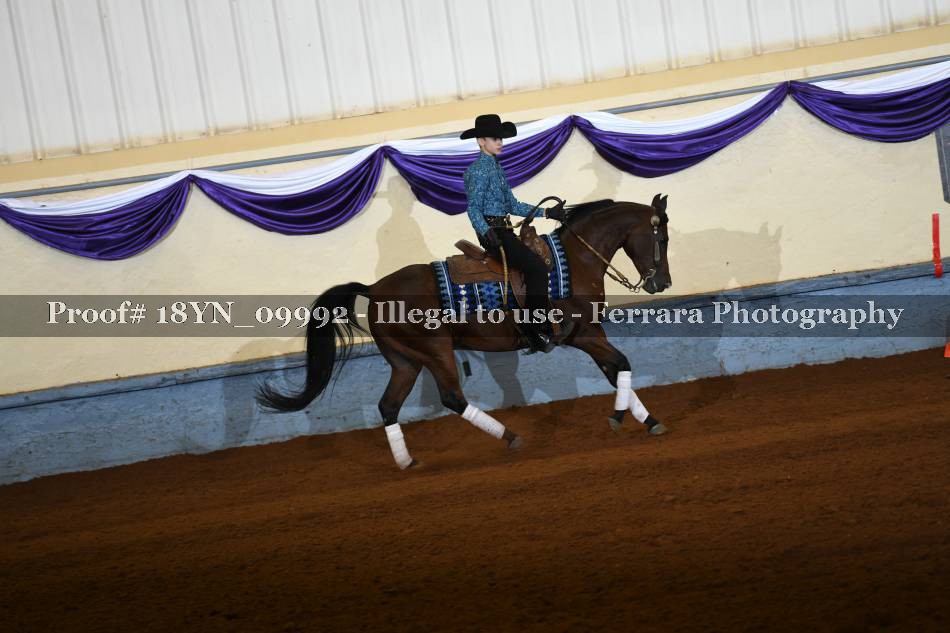 Proof 18YN_09992