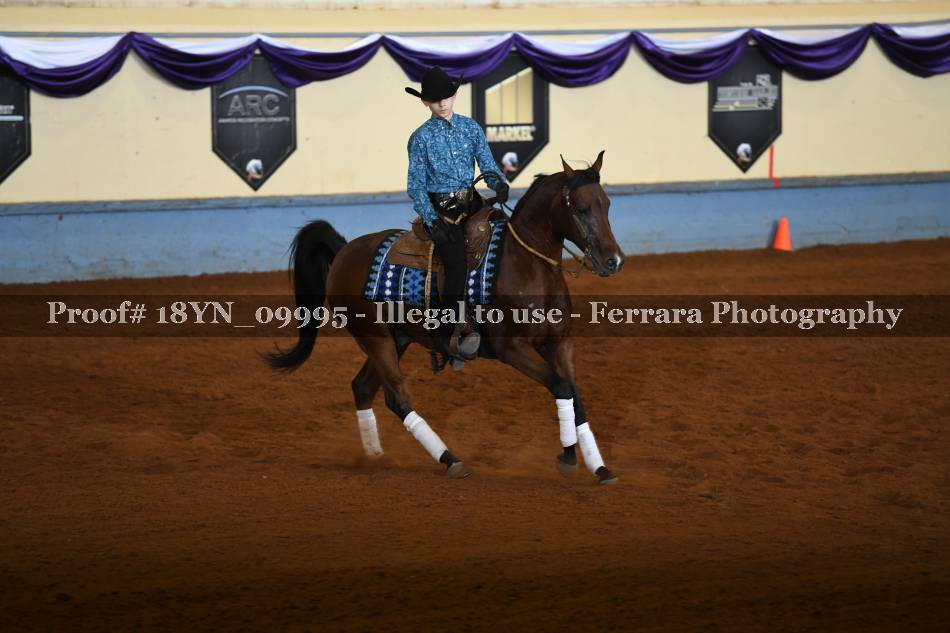 Proof 18YN_09995