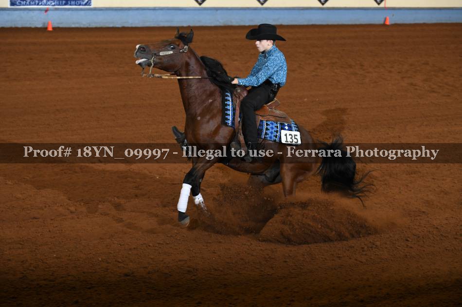 Proof 18YN_09997