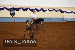 18YN_10000 proof