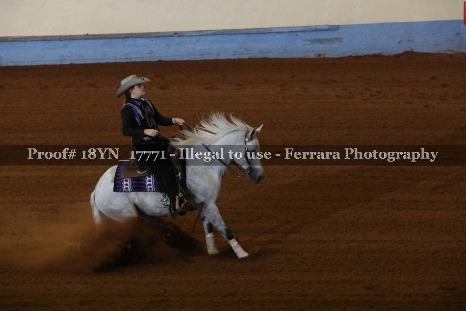Proof 18YN_17771