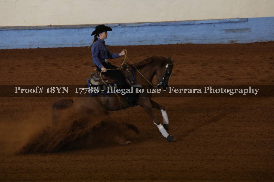 Proof 18YN_17788