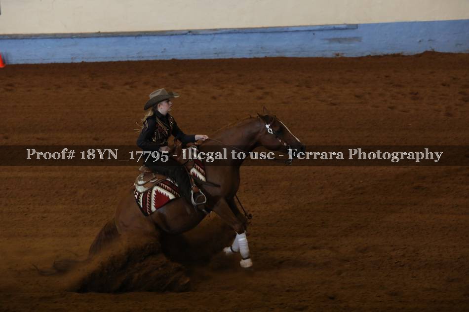 Proof 18YN_17795