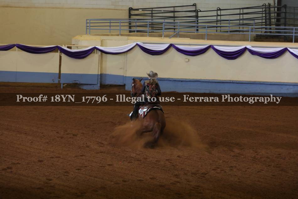 Proof 18YN_17796