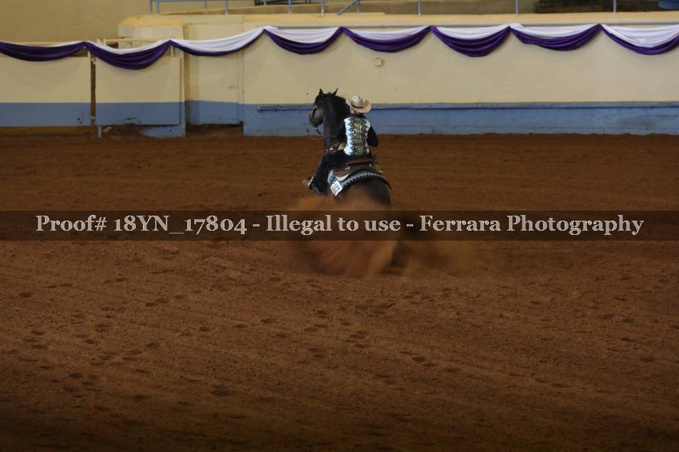 Proof 18YN_17804