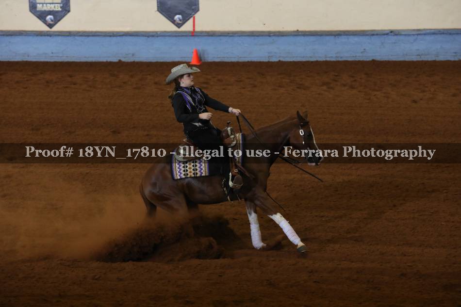 Proof 18YN_17810