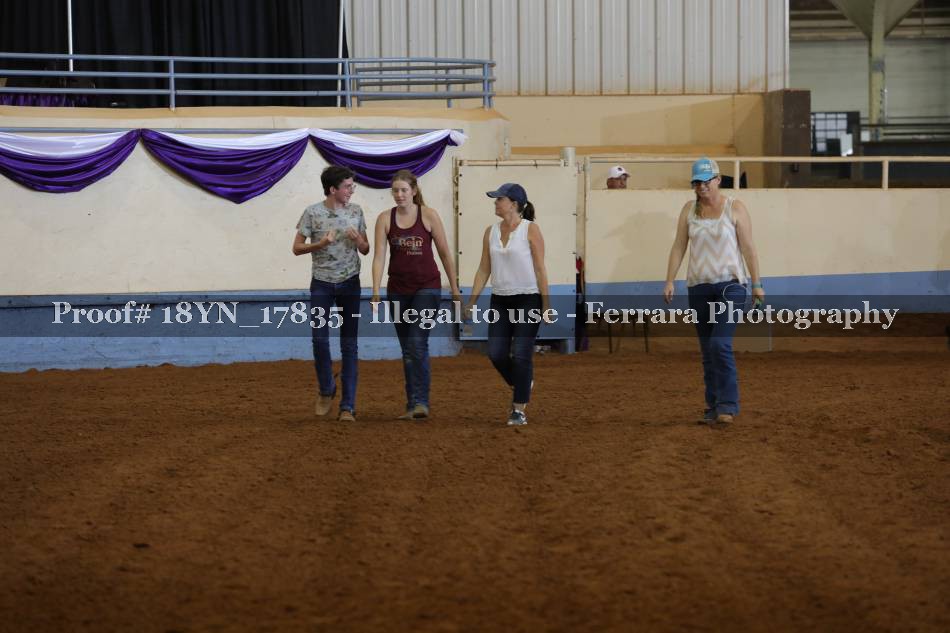 Proof 18YN_17835