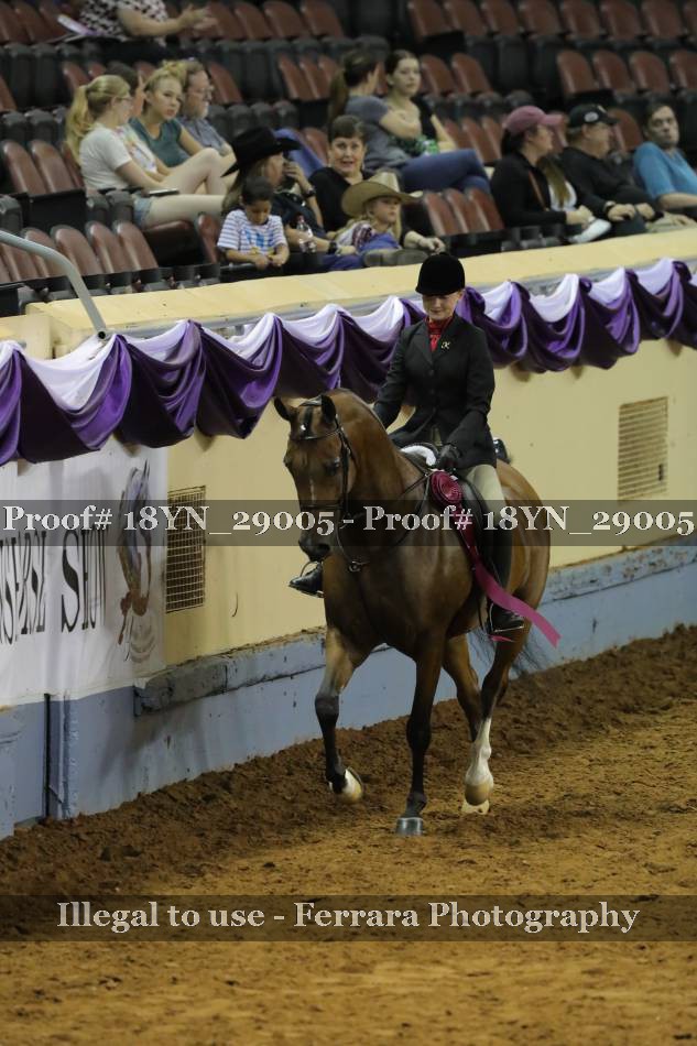Proof 18YN_29005