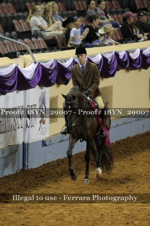 Proof 18YN_29007
