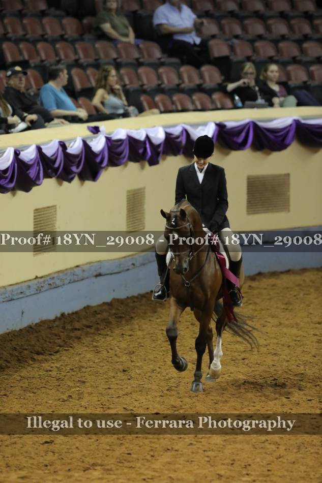 Proof 18YN_29008