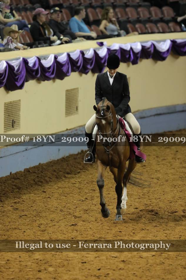 Proof 18YN_29009