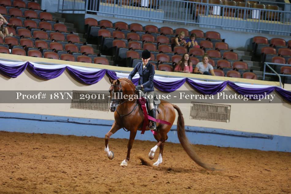 Proof 18YN_29011