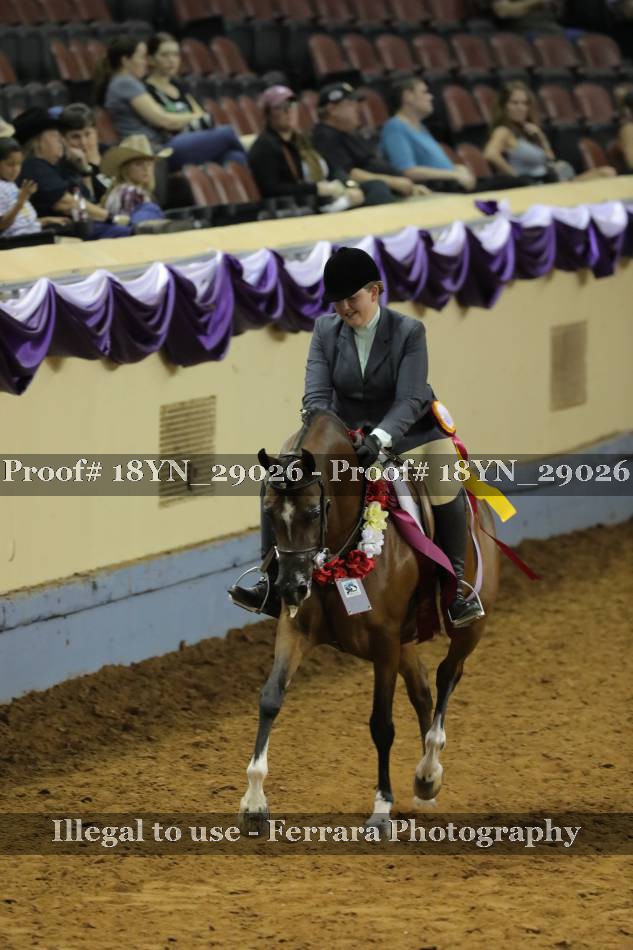 Proof 18YN_29026