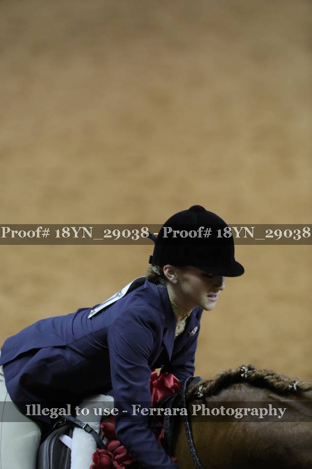Proof 18YN_29038