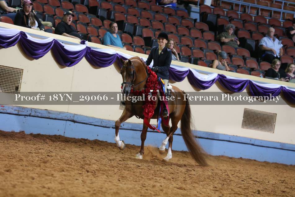 Proof 18YN_29066