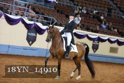 18YN_14910 proof