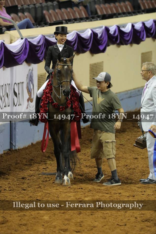 Proof 18YN_14947